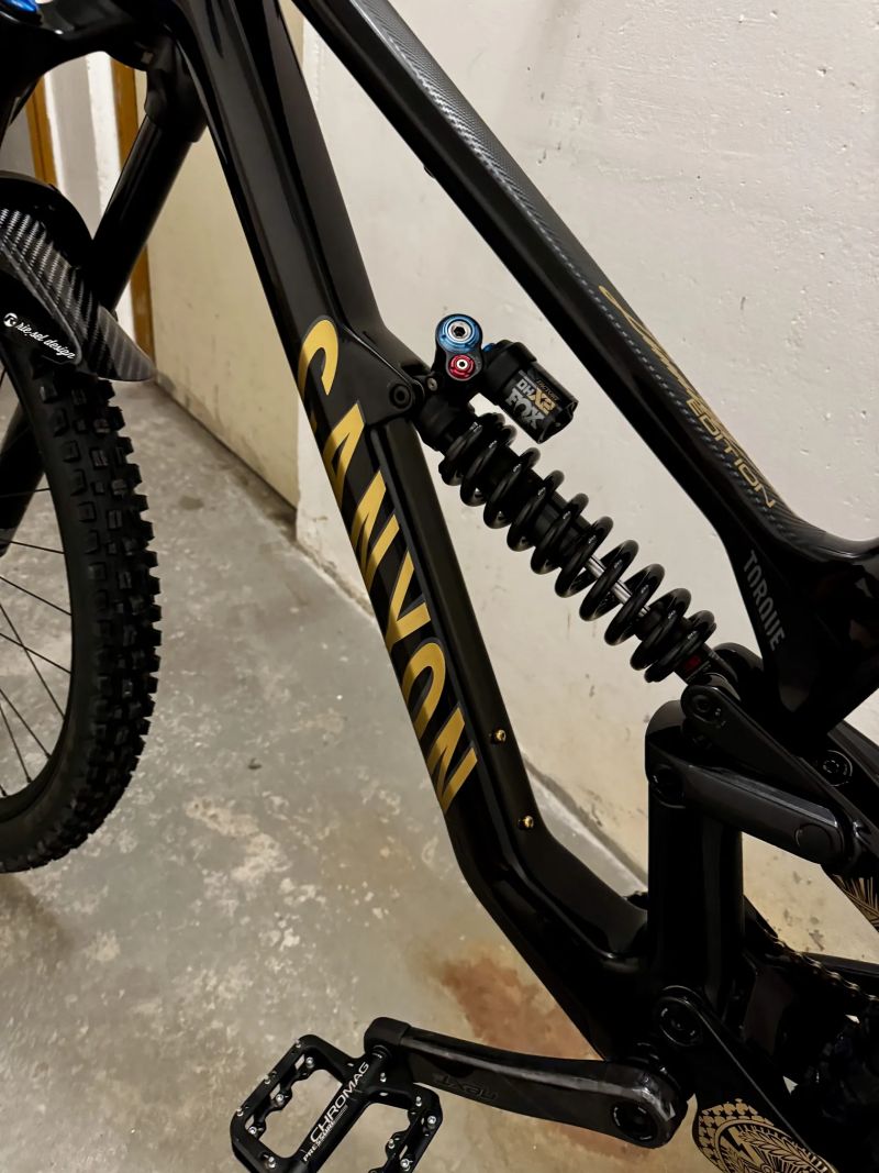 Canyon Torque CF8 Mullet