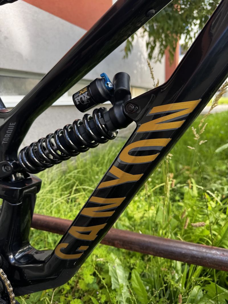 Canyon Torque CF8 Mullet