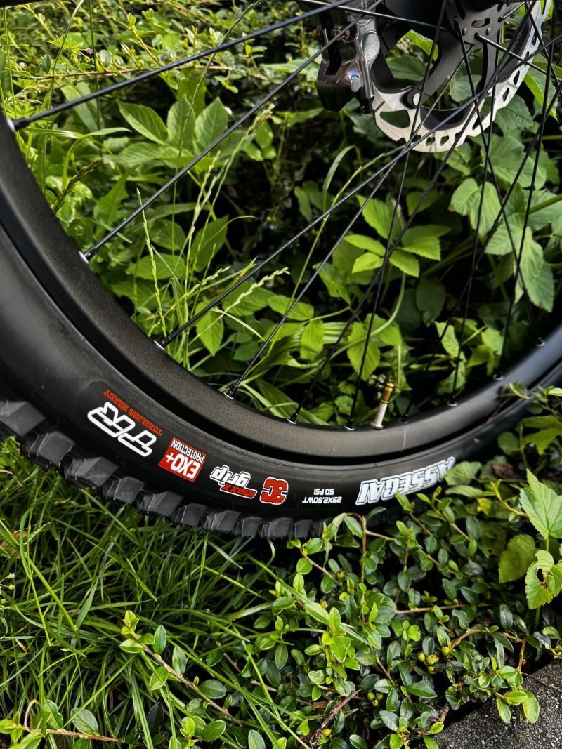 Canyon Torque CF8 Mullet