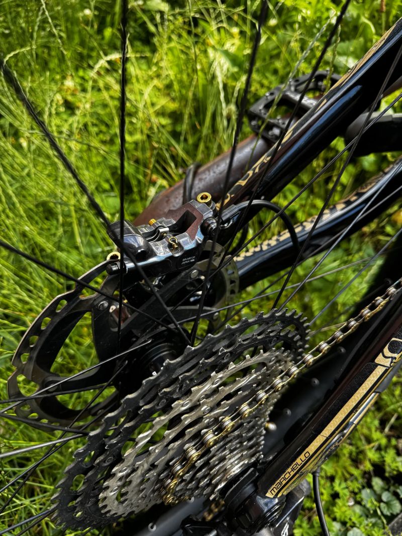 Canyon Torque CF8 Mullet