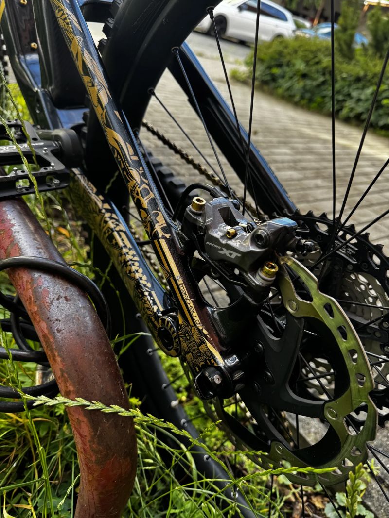 Canyon Torque CF8 Mullet