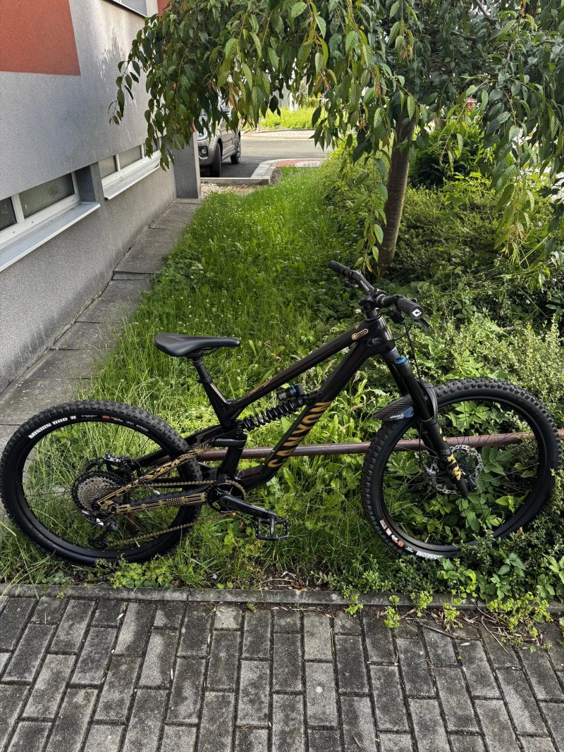 Canyon Torque CF8 Mullet