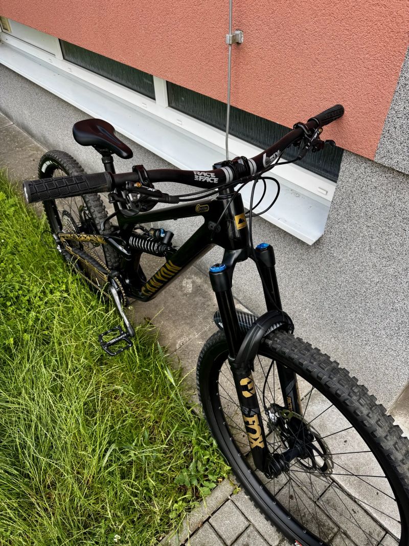 Canyon Torque CF8 Mullet