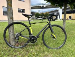 Specialized Roubax