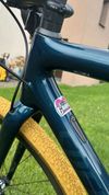 Specialized CRUX 54