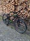 Giant Revel 26"