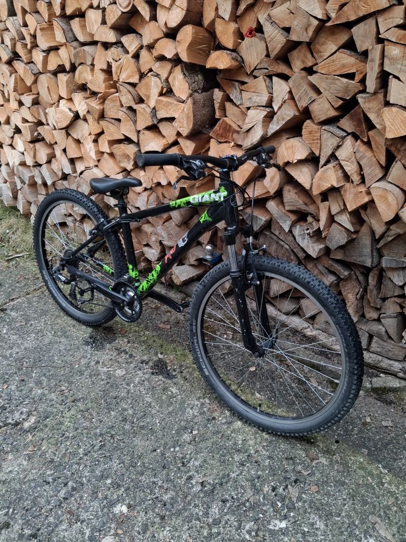 Giant Revel 26"