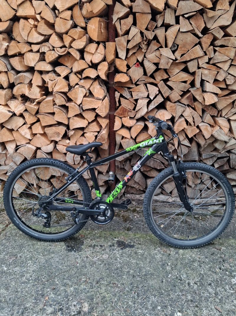 Giant Revel 26"