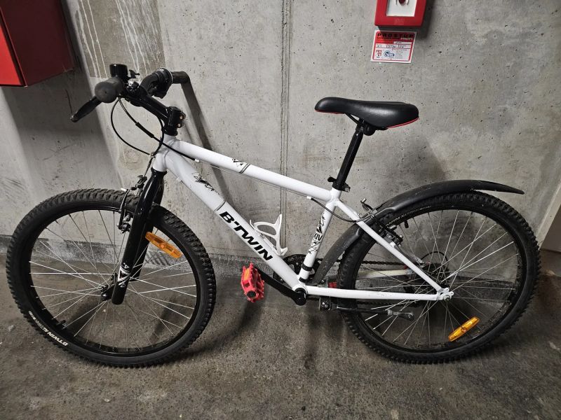 Rockrider 300
