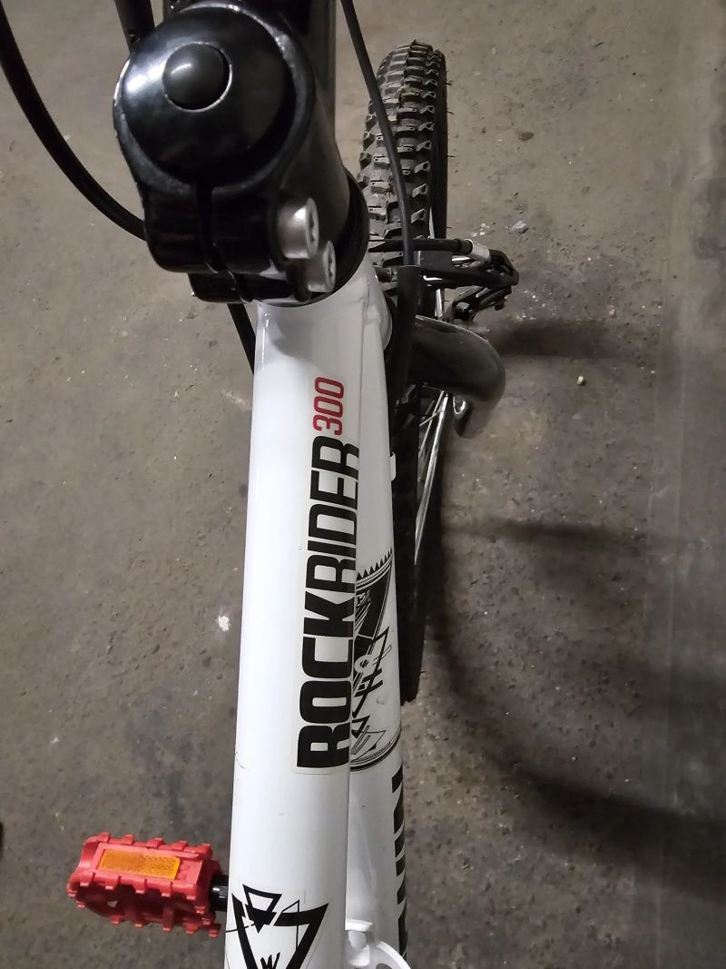 Rockrider 300