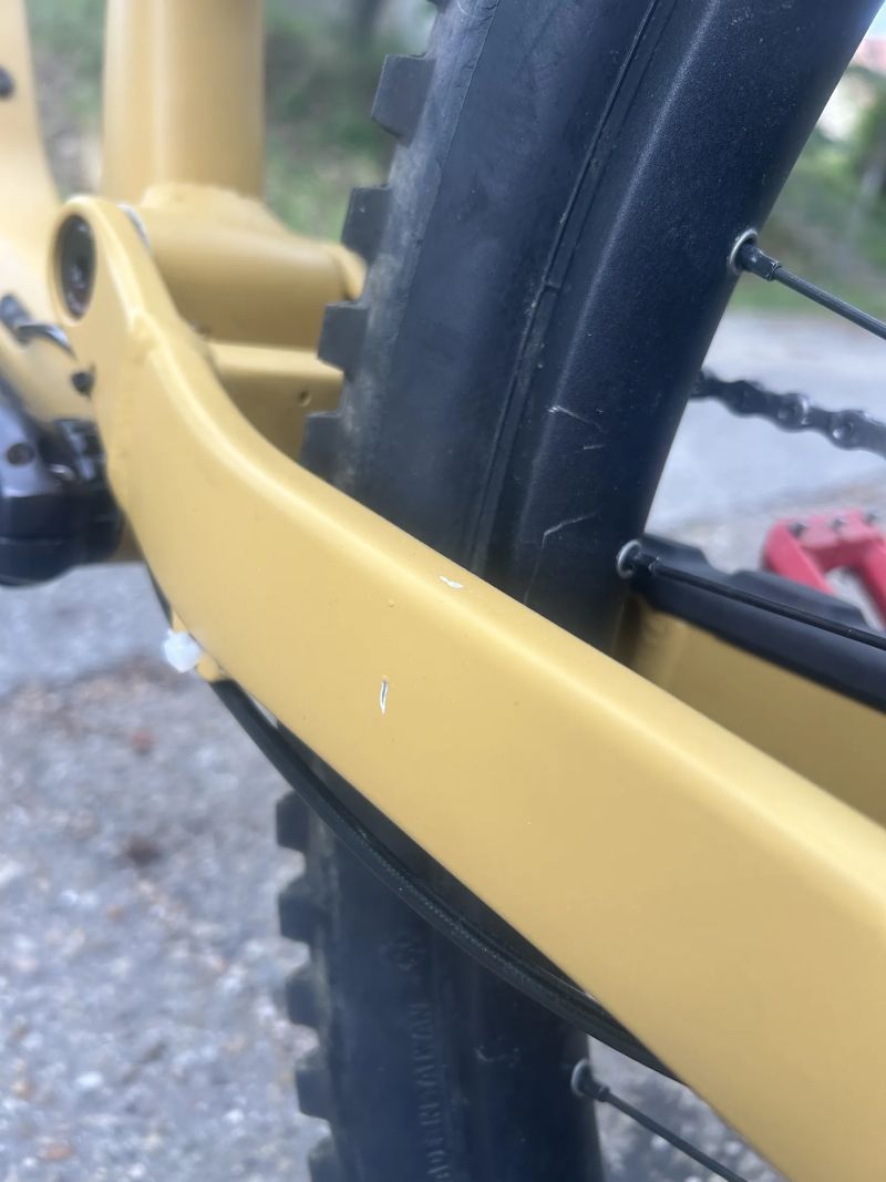 Canyon Torque 29'' AL 6 2022
