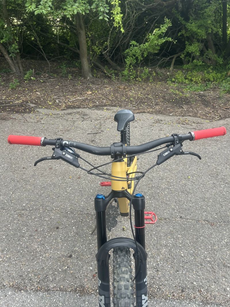 Canyon Torque 29'' AL 6 2022