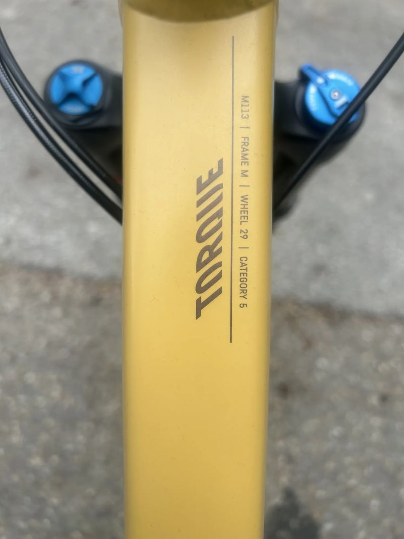 Canyon Torque 29'' AL 6 2022