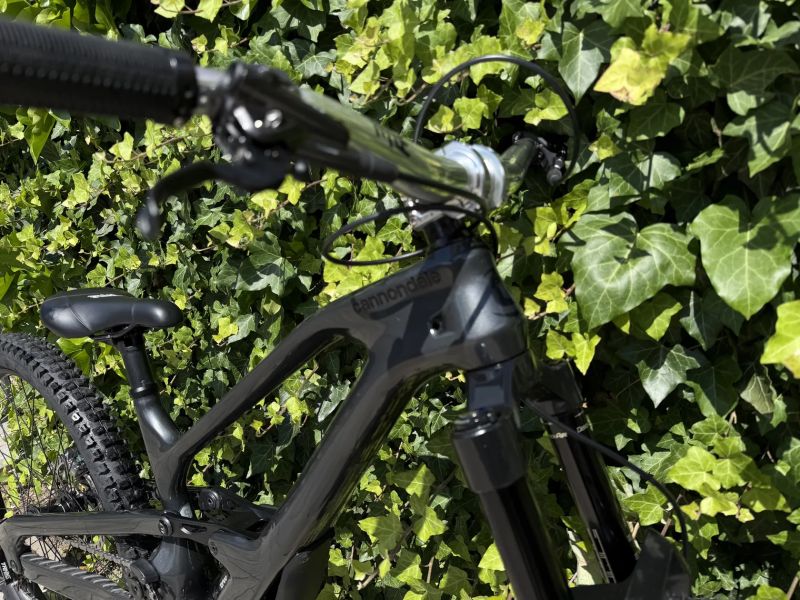 Cannondale Jekyll