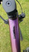 Scott Contessa Scale 920