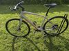 Specialized Vita Elite carbon