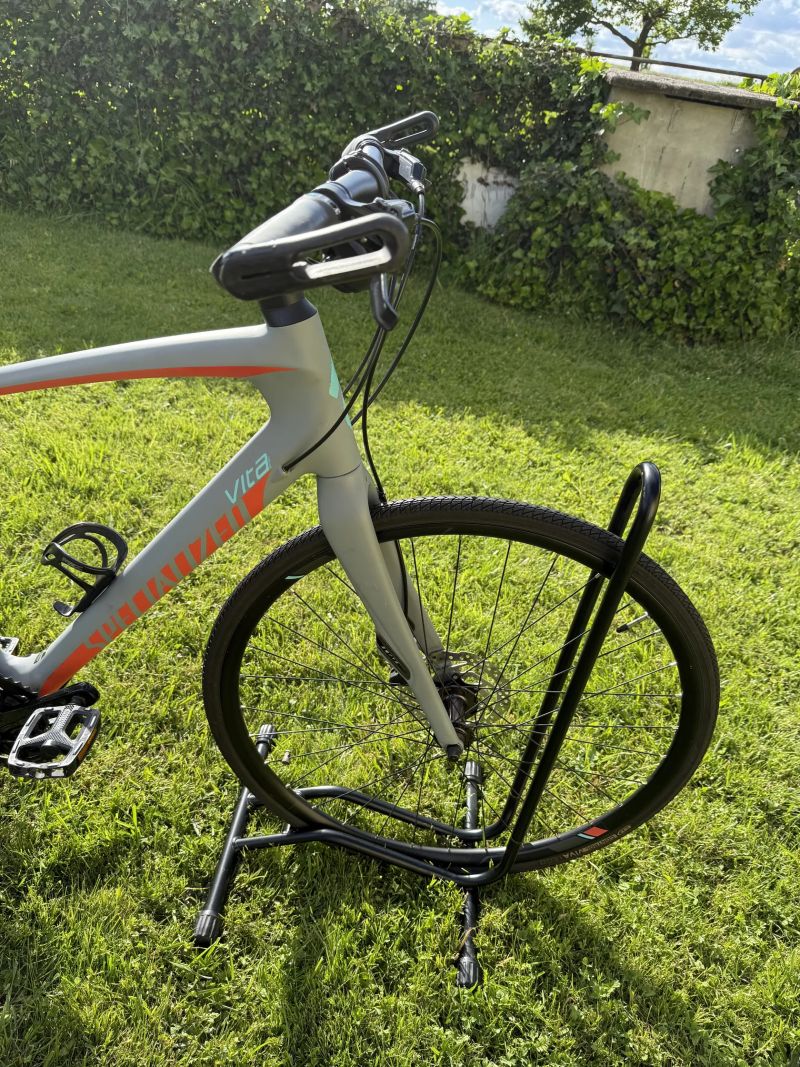 Specialized Vita Elite carbon