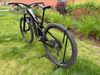 Focus JAM 8.8 Carbon (29") 2022