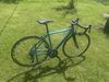 Focus Izalco Race