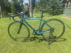 Focus Izalco Race