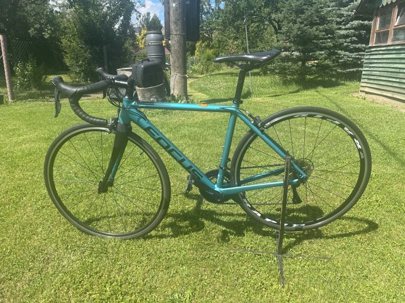 Focus Izalco Race