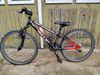 Amulet Team 24 Superlite