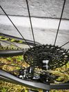 Spark RC Team Issue AXS 