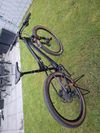 Orbea OIZ