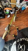 Custom BMX