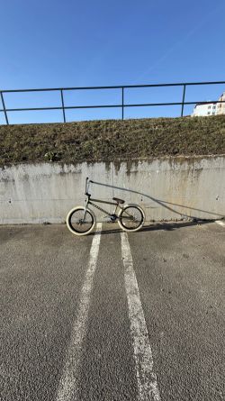 Custom BMX