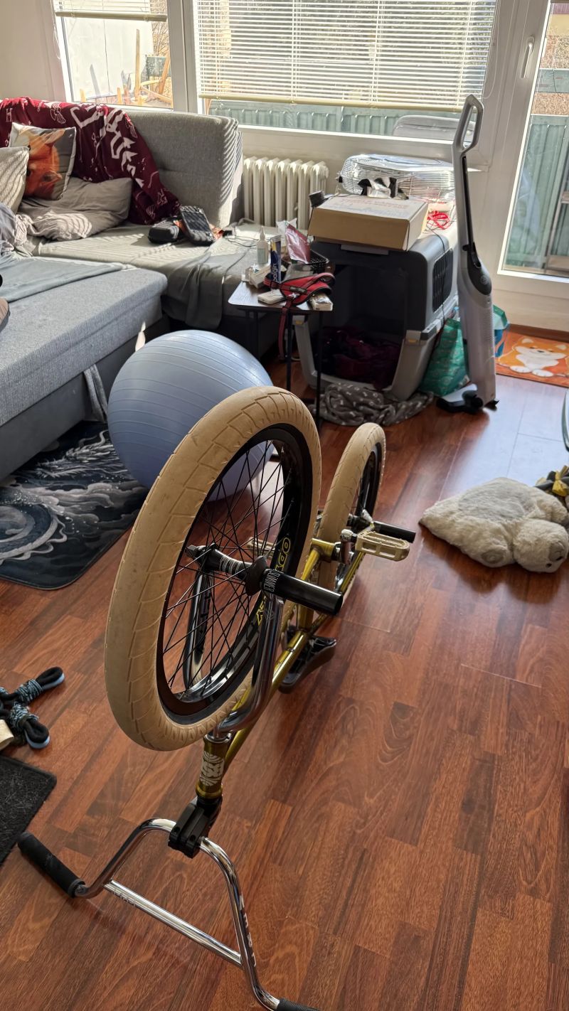 Custom BMX