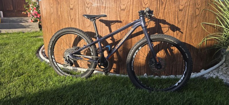 Orbea