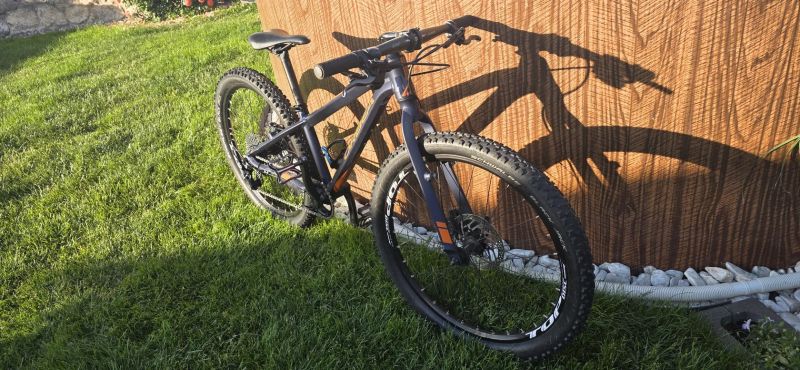 Orbea
