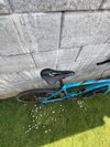 Cinelli King Zydeco
