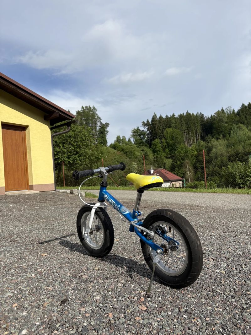 Dětské odrážedlo 12”
