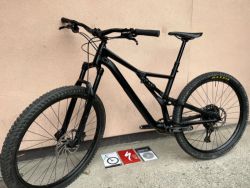 Specialized Stumpjumper ST Alloy 29