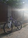 Canyon Torque fr 