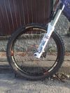 Canyon Torque fr 