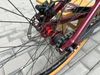 CTM Dirtking Xpert