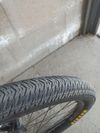 Commencal Absolut Pike 2025