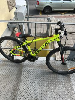 Kellys Spider 10
