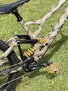 Specialized Demo Race