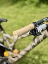 Specialized Demo Race