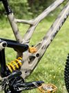 Specialized Demo Race