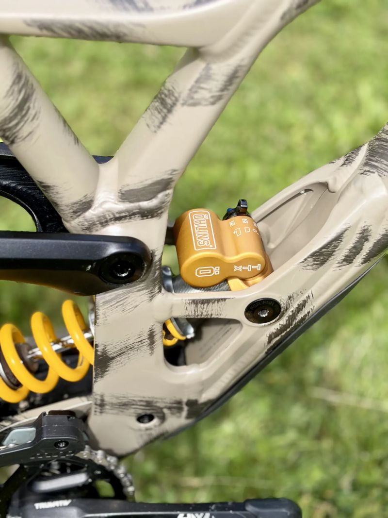 Specialized Demo Race