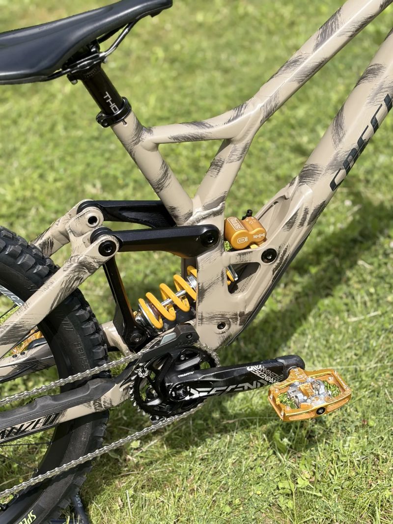 Specialized Demo Race
