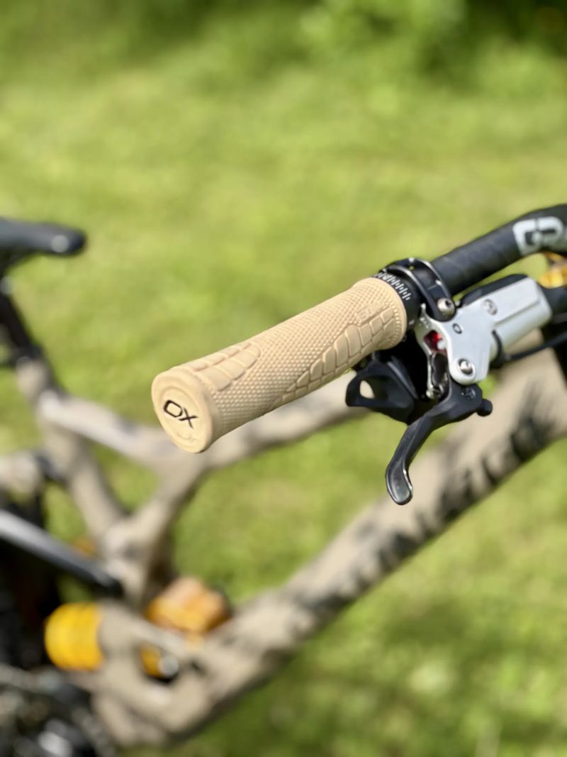 Specialized Demo Race