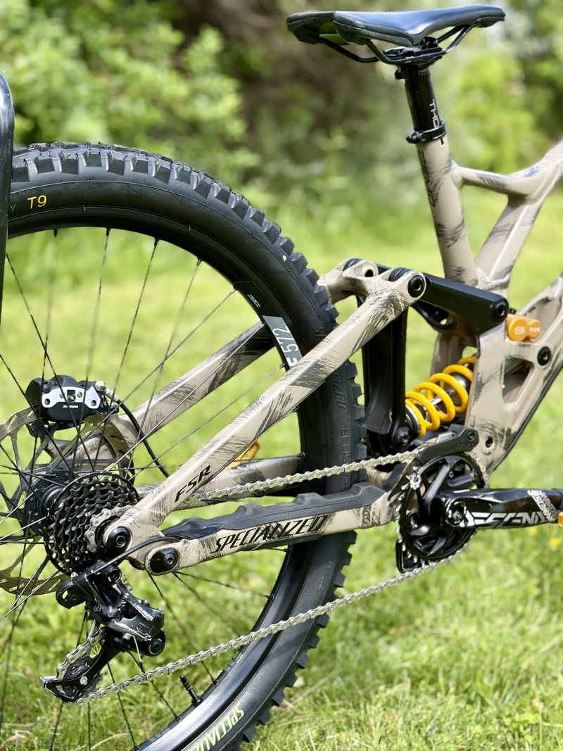 Specialized Demo Race