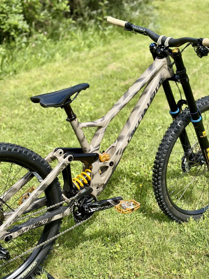 Specialized Demo Race