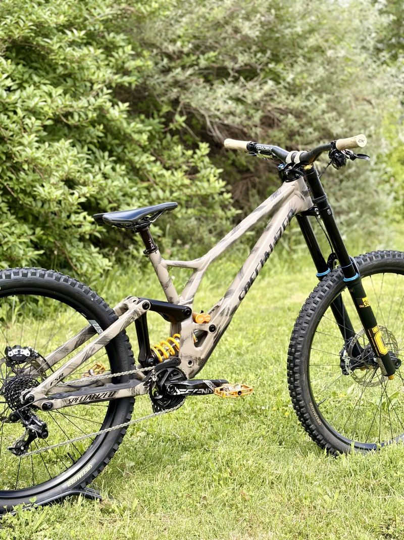 Specialized Demo Race
